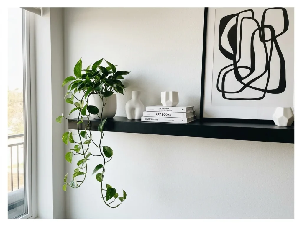 Black Shelf with High-Contrast Decor